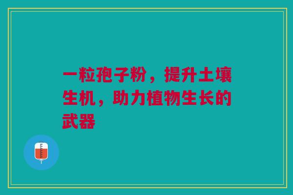 一粒孢子粉,提升土壤生机,助力植物生长的武器 一粒孢子粉,提升土壤生机,助力植物生长的武器