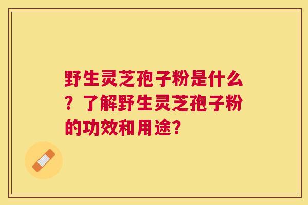 野生灵芝孢子粉是什么？了解野生灵芝孢子粉的功效和用途？