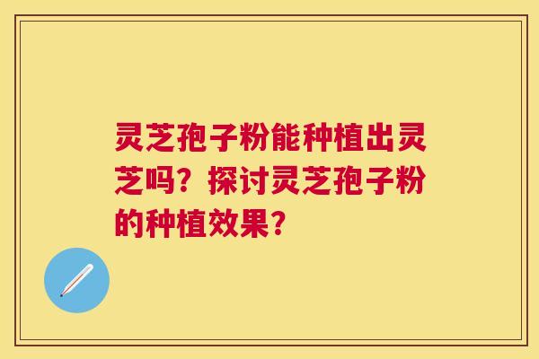 灵芝孢子粉能种植出灵芝吗？探讨灵芝孢子粉的种植效果？