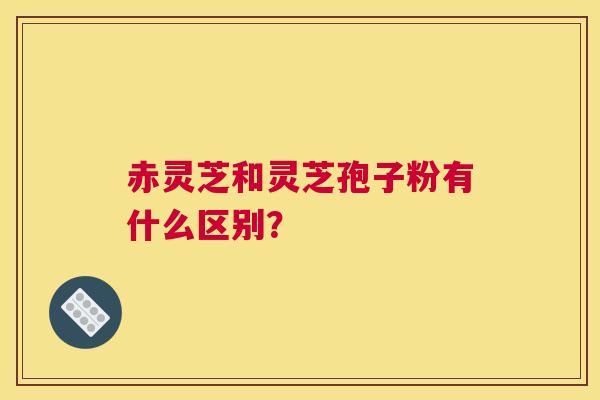 赤灵芝和灵芝孢子粉有什么区别？