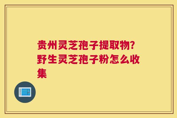 贵州灵芝孢子提取物？野生灵芝孢子粉怎么收集