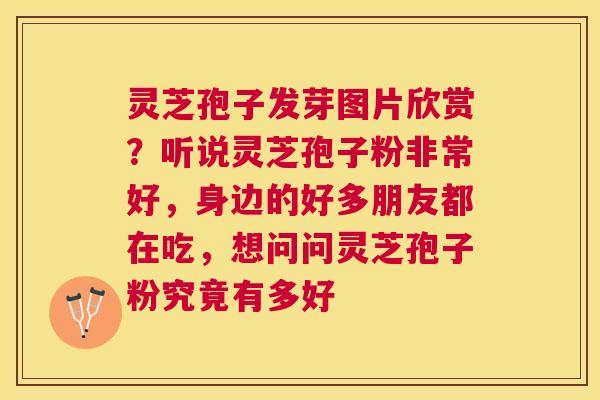 灵芝孢子发芽图片欣赏？听说灵芝孢子粉非常好，身边的好多朋友都在吃，想问问灵芝孢子粉究竟有多好