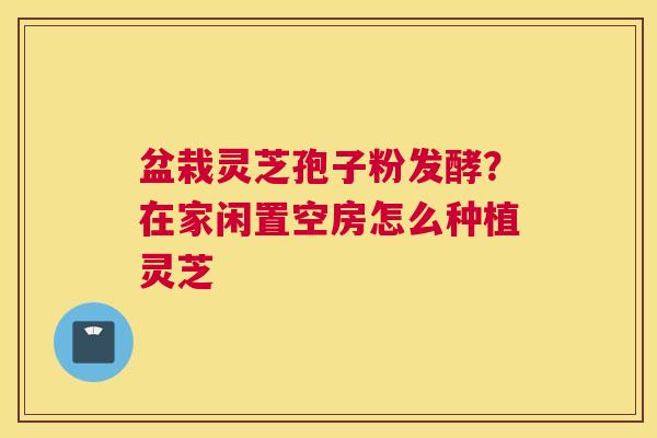 盆栽灵芝孢子粉发酵？在家闲置空房怎么种植灵芝