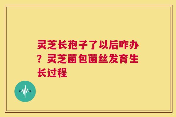 灵芝长孢子了以后咋办？灵芝菌包菌丝发育生长过程