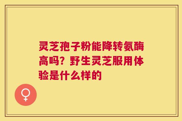 灵芝孢子粉能降转氨酶高吗？野生灵芝服用体验是什么样的