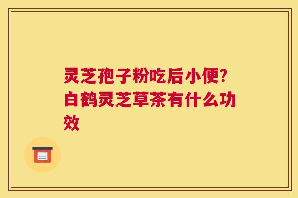 灵芝孢子粉吃后小便？白鹤灵芝草茶有什么功效
