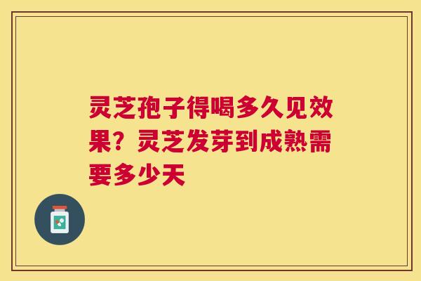 灵芝孢子得喝多久见效果?灵芝发芽到成熟需要多少天 灵芝孢子得喝多久见效果?灵芝发芽到成熟需要多少天