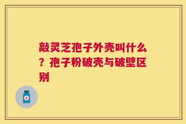敲灵芝孢子外壳叫什么？孢子粉破壳与破壁区别