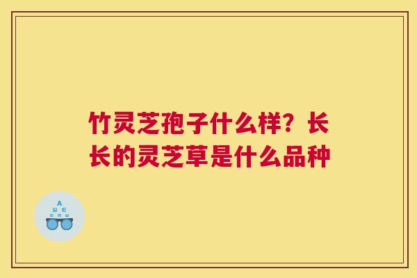 竹灵芝孢子什么样？长长的灵芝草是什么品种