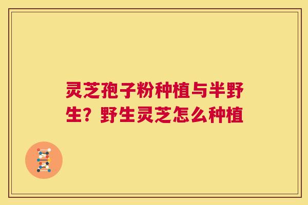 灵芝孢子粉种植与半野生？野生灵芝怎么种植