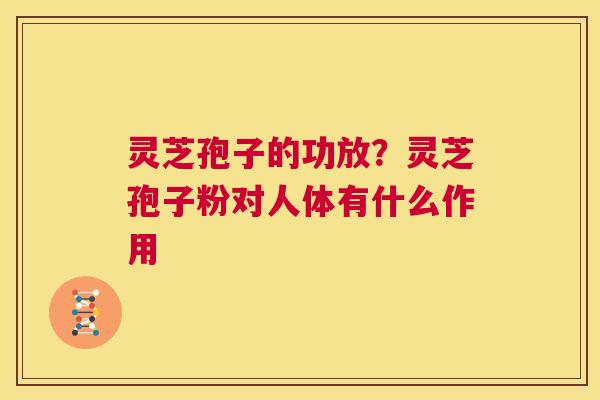 灵芝孢子的功放？灵芝孢子粉对人体有什么作用