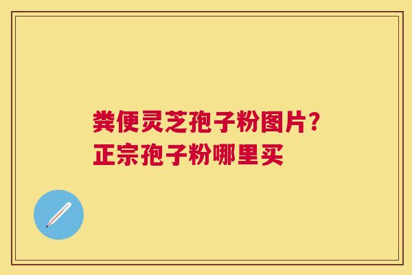 粪便灵芝孢子粉图片？正宗孢子粉哪里买