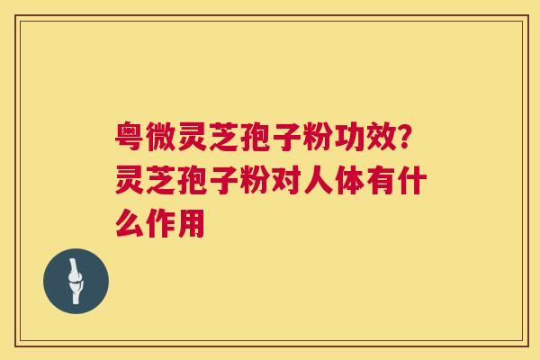 粤微灵芝孢子粉功效？灵芝孢子粉对人体有什么作用