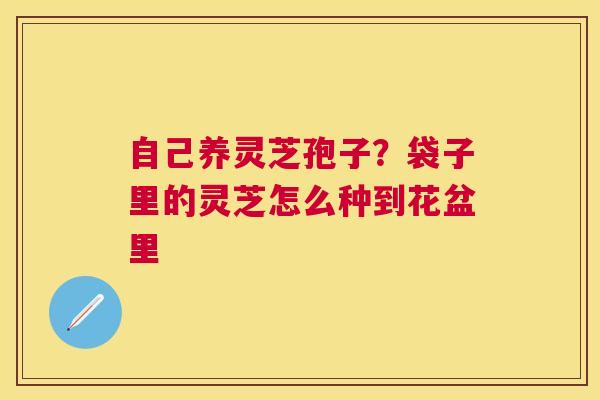 自己养灵芝孢子？袋子里的灵芝怎么种到花盆里