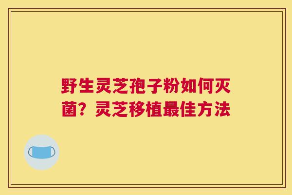 野生灵芝孢子粉如何灭菌？灵芝移植最佳方法