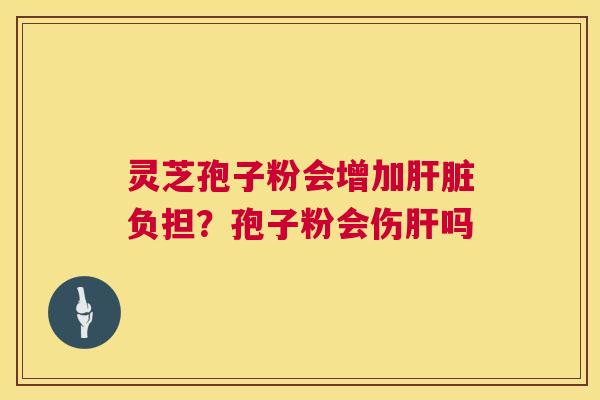灵芝孢子粉会增加肝脏负担？孢子粉会伤肝吗