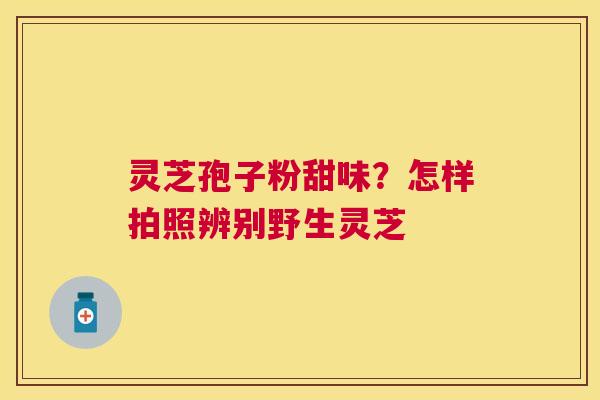 灵芝孢子粉甜味？怎样拍照辨别野生灵芝