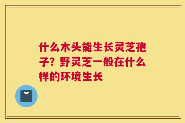 什么木头能生长灵芝孢子？野灵芝一般在什么样的环境生长