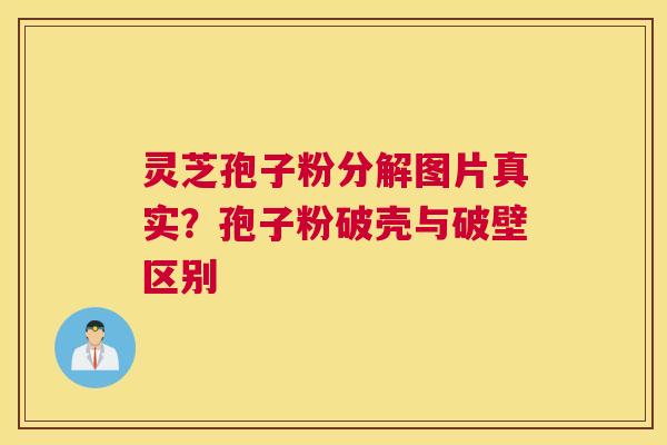 灵芝孢子粉分解图片真实？孢子粉破壳与破壁区别