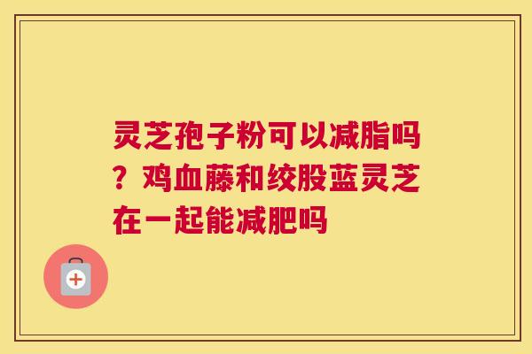 灵芝孢子粉可以减脂吗？鸡藤和绞股蓝灵芝在一起能吗