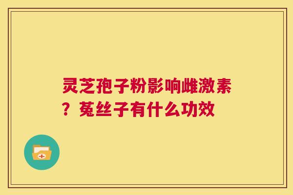 灵芝孢子粉影响雌激素？菟丝子有什么功效