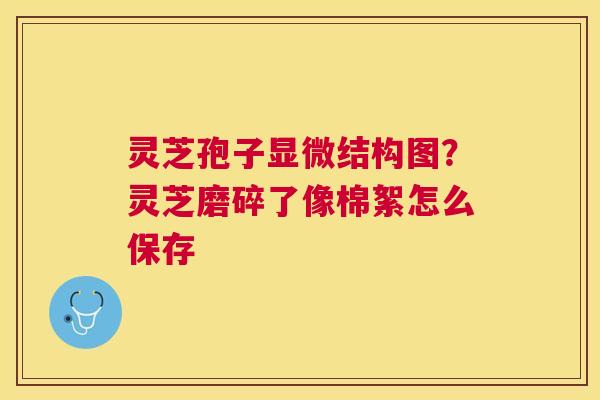灵芝孢子显微结构图？灵芝磨碎了像棉絮怎么保存
