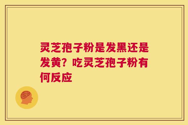 灵芝孢子粉是发黑还是发黄？吃灵芝孢子粉有何反应