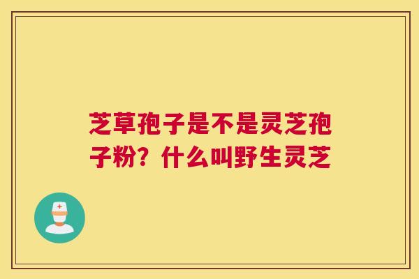 芝草孢子是不是灵芝孢子粉？什么叫野生灵芝