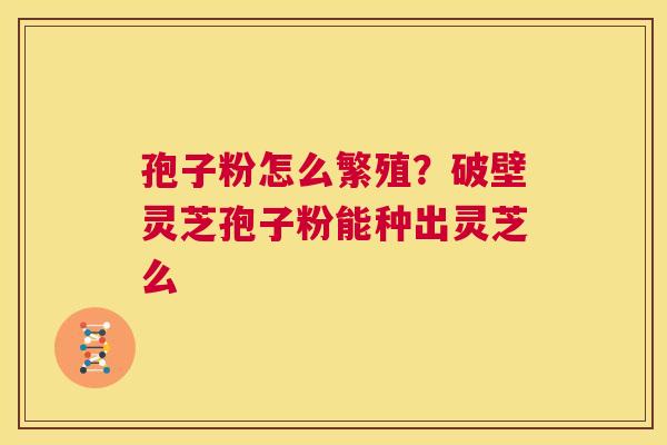 孢子粉怎么繁殖？破壁灵芝孢子粉能种出灵芝么