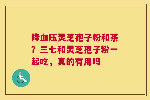 降血压灵芝孢子粉和茶？三七和灵芝孢子粉一起吃，真的有用吗