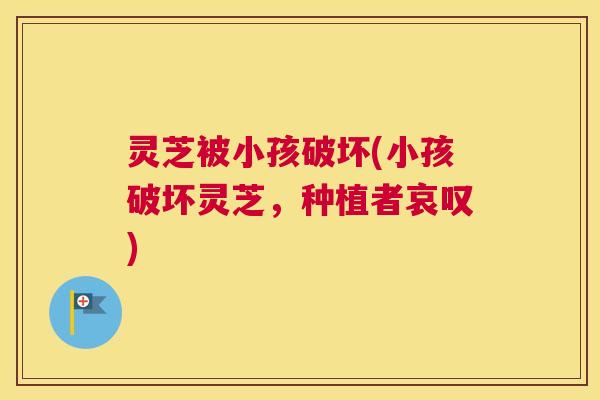 灵芝被小孩破坏(小孩破坏灵芝，种植者哀叹)