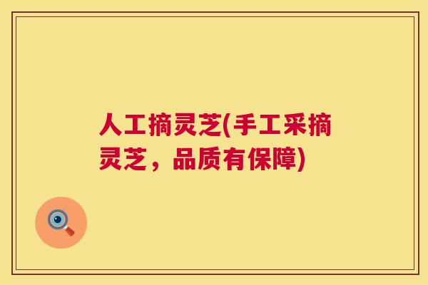 人工摘灵芝(手工采摘灵芝，品质有保障)