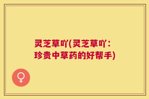 灵芝草吖(灵芝草吖：珍贵中草药的好帮手)