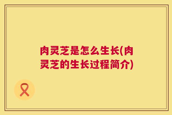 肉灵芝是怎么生长(肉灵芝的生长过程简介)