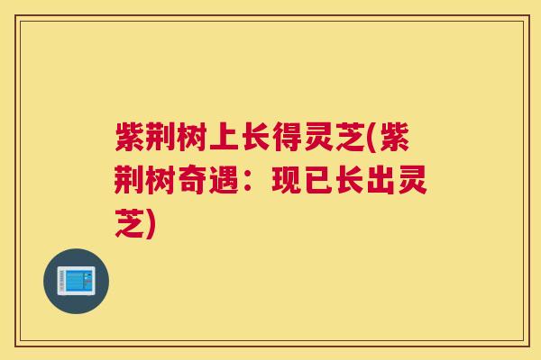 紫荆树上长得灵芝(紫荆树奇遇：现已长出灵芝)