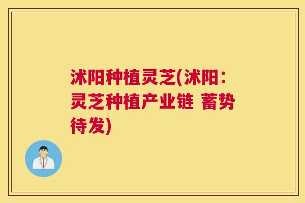 沭阳种植灵芝(沭阳:灵芝种植产业链 蓄势待发) 沭阳种植灵芝(沭阳:灵芝种植产业链 蓄势待发)