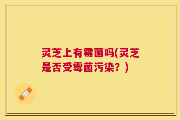 灵芝上有霉菌吗(灵芝是否受霉菌污染？)