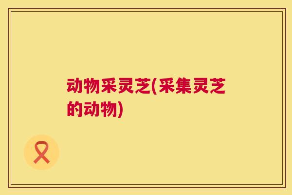 动物采灵芝(采集灵芝的动物)