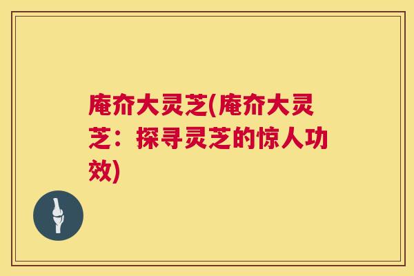 庵夼大灵芝(庵夼大灵芝：探寻灵芝的惊人功效)