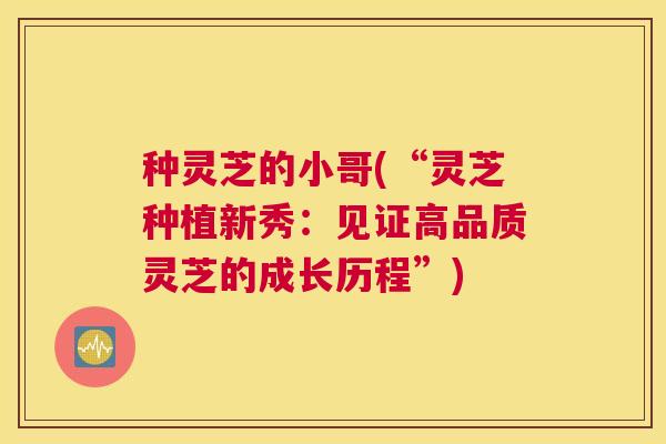 种灵芝的小哥(“灵芝种植新秀：见证高品质灵芝的成长历程”)