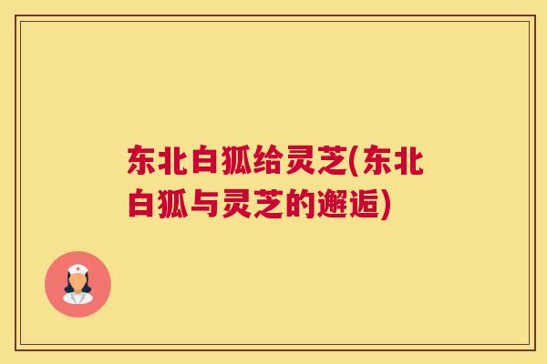 东北白狐给灵芝(东北白狐与灵芝的邂逅)