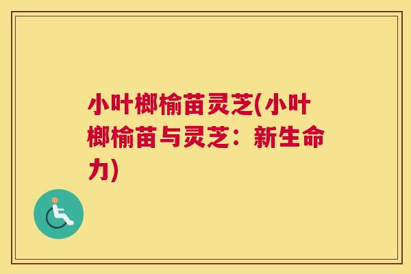 小叶榔榆苗灵芝(小叶榔榆苗与灵芝：新生命力)
