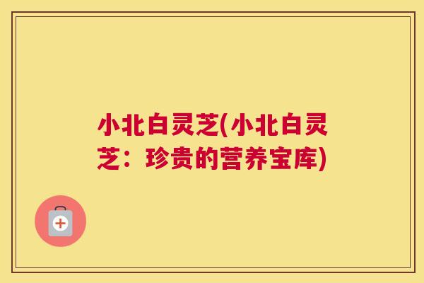 小北白灵芝(小北白灵芝:珍贵的营养宝库) 小北白灵芝(小北白灵芝:珍贵的营养宝库)