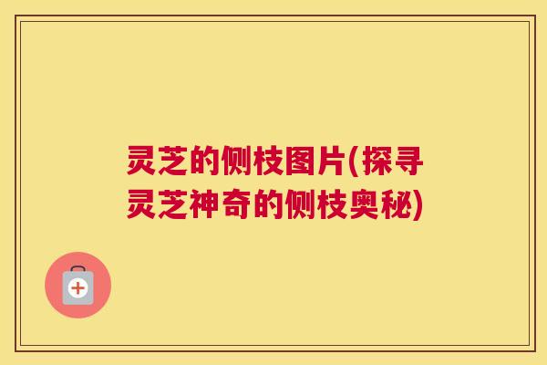 灵芝的侧枝图片(探寻灵芝神奇的侧枝奥秘)