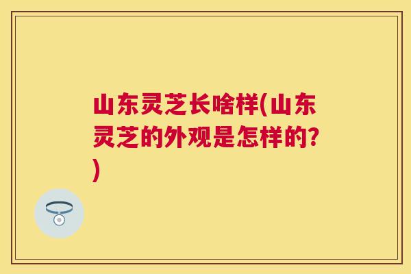 山东灵芝长啥样(山东灵芝的外观是怎样的？)