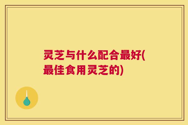 灵芝与什么配合最好(最佳食用灵芝的)