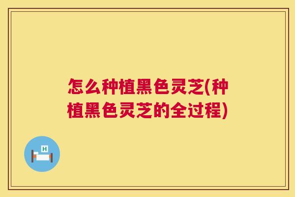 怎么种植黑色灵芝(种植黑色灵芝的全过程)