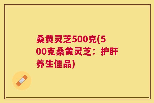 桑黄灵芝500克(500克桑黄灵芝：护肝养生佳品)