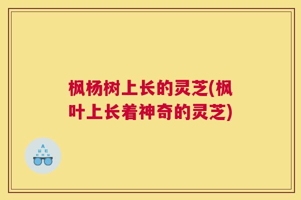 枫杨树上长的灵芝(枫叶上长着神奇的灵芝)
