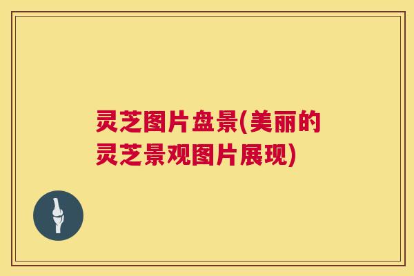灵芝图片盘景(美丽的灵芝景观图片展现)